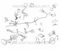ELECTRICA