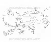 ELECTRICA