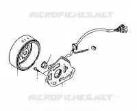 STATOR