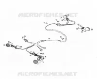 ELECTRICA HOMOLOG