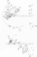 ALTA