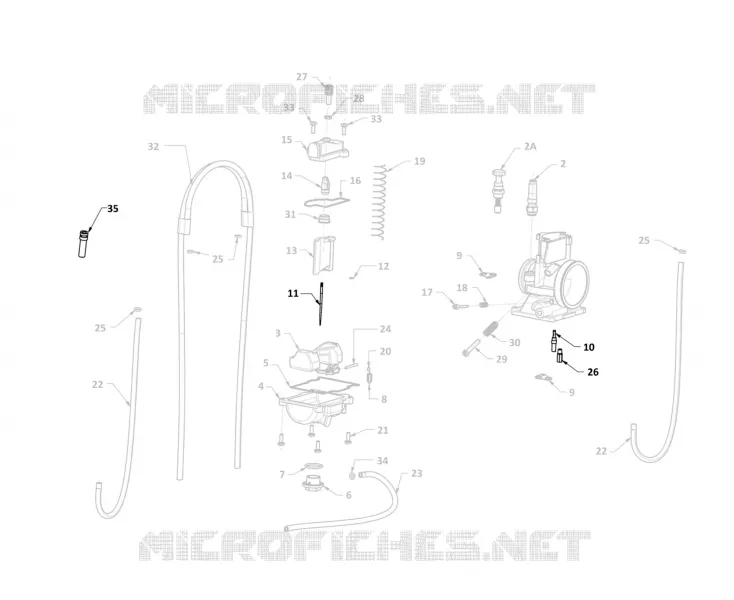 HOMOLOG KIT