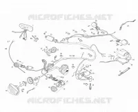ELECTRICA