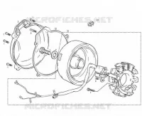 ALTA