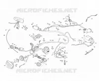 ELECTRICA