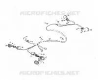 ELECTRICA