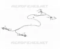 ELECTRICA