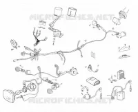 ELECTRICA