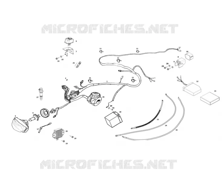 ELECTRICA
