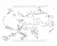 ELECTRICA